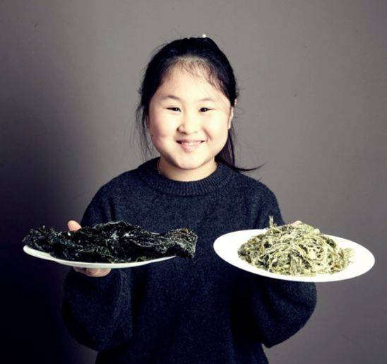 미역·매생이·김은 모두 해조류지만 외형과 맛이 다르다.