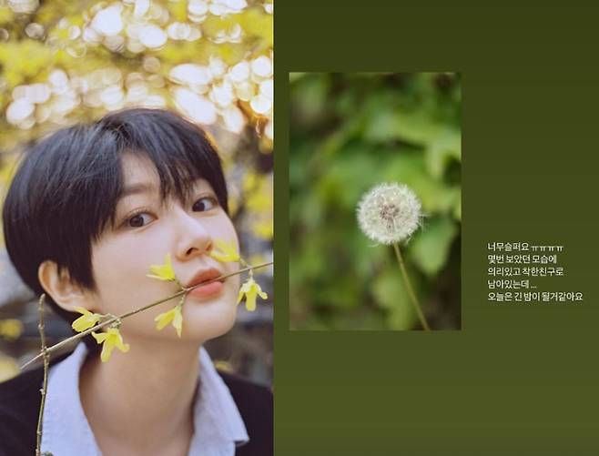 /사진=고 김새론, 피에스타 혜미 SNS