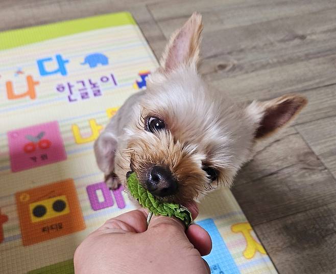 20250217_203707.jpg 저녁 통삼겹살로 한잔