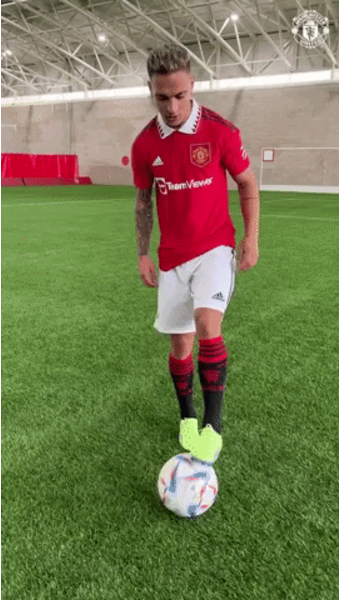 1000008619.png 이피엘 현지팬 선정 비호감 선수 TOP 10