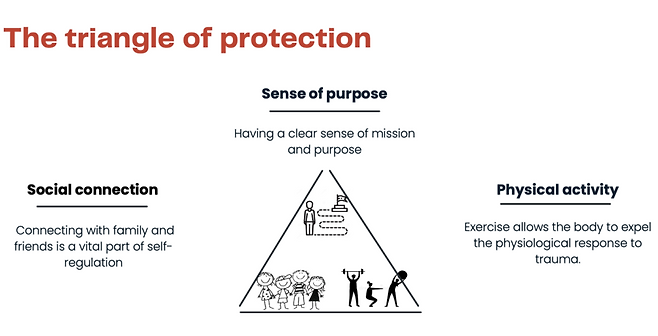 트라우마 회복을 위해 집중해야 할 세 가지 영역을 강조한 '보호의 삼각형'. 동료 지지는 트라우마 경험자가 자기 조절 능력을 스스로 높이기 위한 활동이다. /다트센터 아시아태평양지부