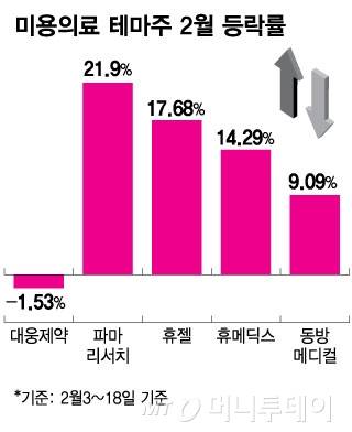 미용의료 테마주 2월 등락률/그래픽=김현정