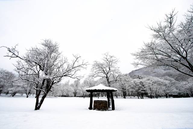 ▲최국순作 '고창군 선운사' ⓒ서학동사진미술관