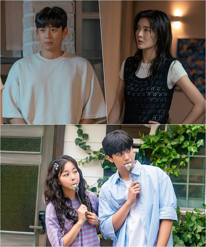 tvN 새 토일드라마 ‘감자연구소’. 사진|tvN