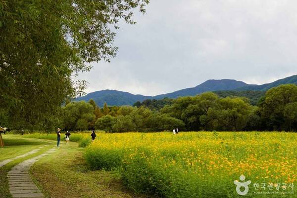포토코리아-전지민