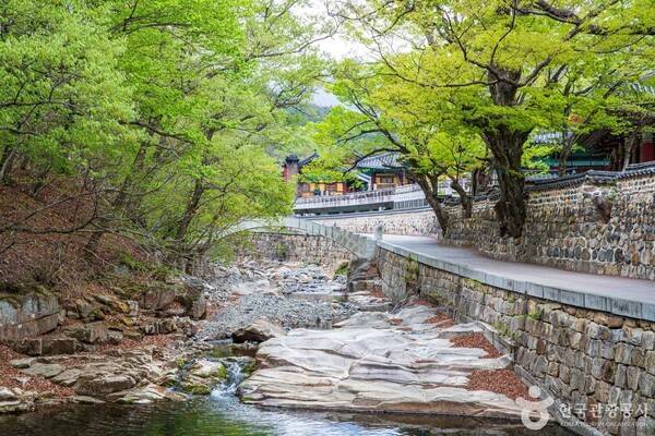 포토코리아-한국관광공사 김지호