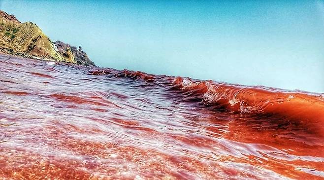 이란 호르무즈섬 '레드비치'. 사진=ITTO