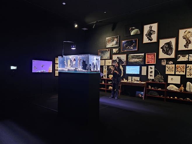 Installation view of “New Ecosystem" by Chang Han-na  at Nam June Paik Art Center (Park Yuna/The Korea Herald)