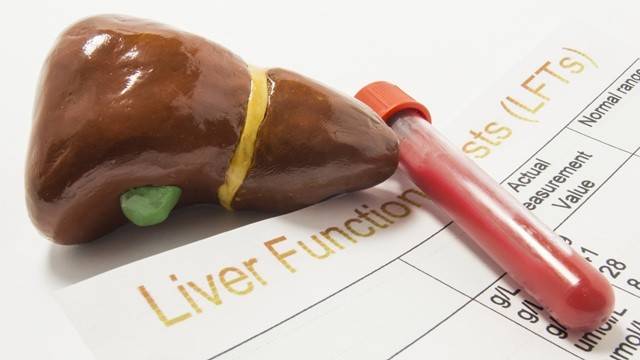 ALT∙AST 수치만으로 간질환 여부를 파악하기는 어렵다｜출처: 게티이미지뱅크
