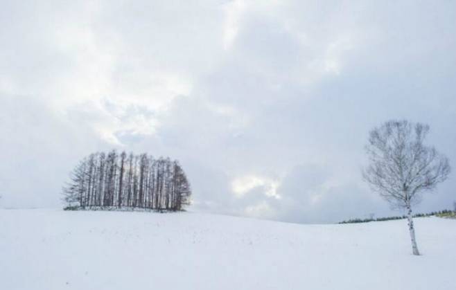 일본 홋카이도 삿포로. /게티이미지뱅크