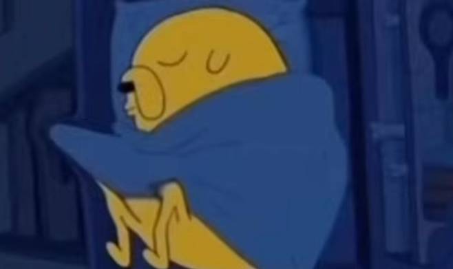 IMG_1633.jpeg 늙은 펨코는 요즘 해외 밈 수입이 늦다는 말이 나온김에