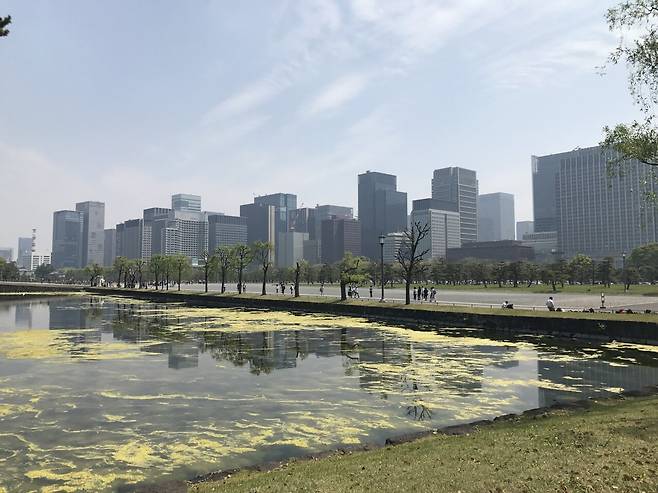 2017년 도쿄여행 음식 사진모음(스압)