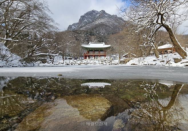백양사 쌍계루. 연못물에 쌍계루가 어른거리는 모습이 보인다.