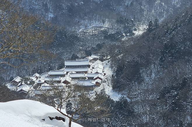 약사암에서 바라본 백양사 전경