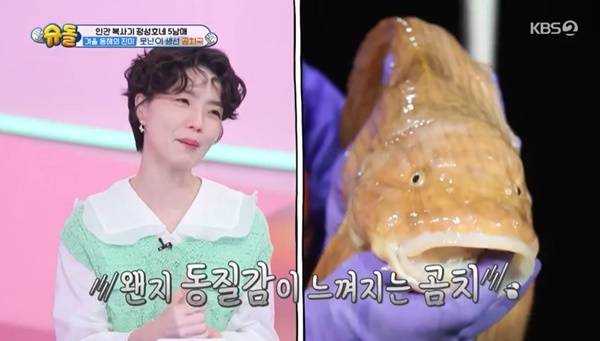 KBS 2TV ‘슈퍼맨이 돌아왔다’ 캡처
