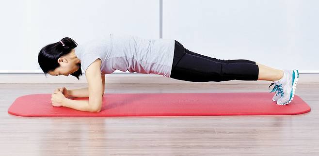 플랭크는 팔로 상반신, 다리로 하반신을 지탱하며 코어 근육을 단련한다. /조선일보DB