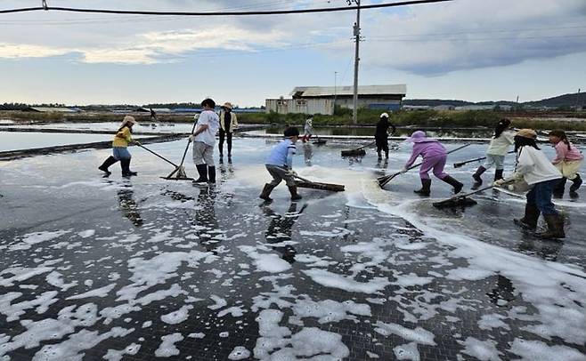 화성 시티투어 중 하나인 '바다와 하루'. 아이들이 염전을 체험하고 있다. ⓒ화성시 제공