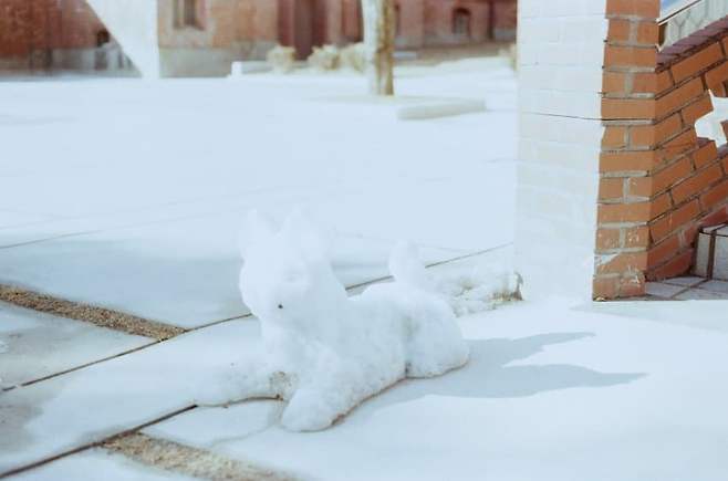 24b0d121e0ed6aff20b5c6b236ef203e3baa2cc1a8e811a51c