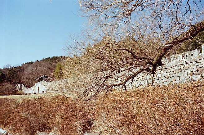 24b0d121e0ed6af320b5c6b236ef203e4188309f4f4a04dfae