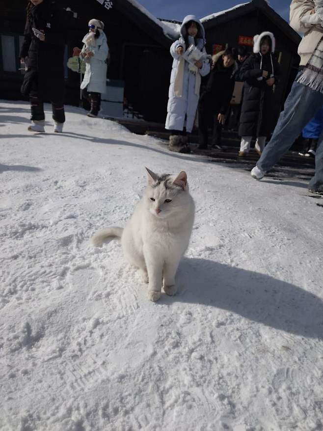 3fb8c32fffd711ab6fb8d38a4489766d8e6eb8b0f73e42b6c96df6aee35362674af8b5d0a9c485c07408fde8928f