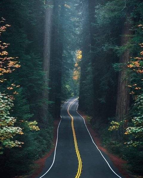 1000068127.jpg 지방분들이 서울 오시면 꼭 들려야하는 곳들 추천