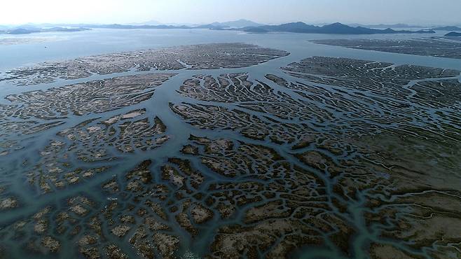 다큐멘터리 영화 <수라>의 한 장면. 황윤 감독 제공
