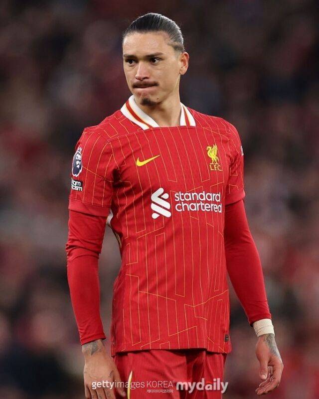 다르윈 누녜스./게티이미지코리아