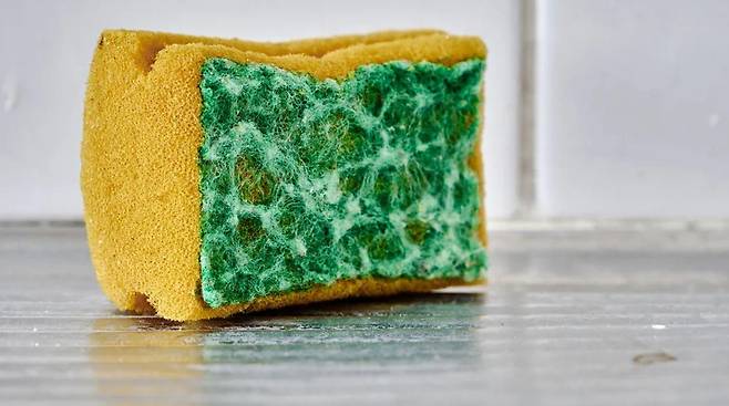 설거지용 스펀지에 있는 구멍과 섬유의 닳아버린 부분은 미생물이 숨어들어 번식하기에 좋은 환경이다