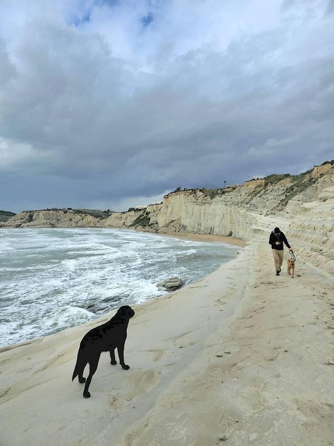 스칼라 데이 투르키.