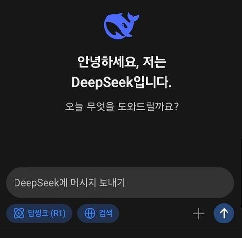 딥시크 [딥시크 앱 화면 캡처. 재판매 및 DB 금지]