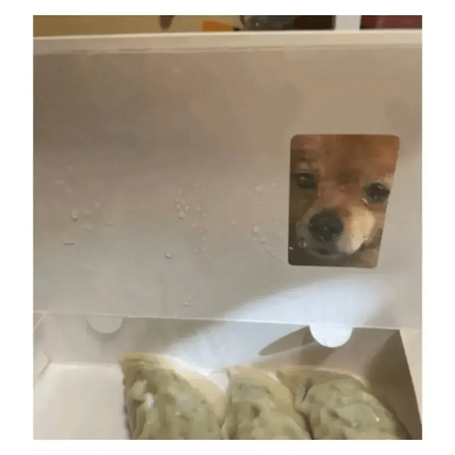 image.png 김밥 포장용기 대참사