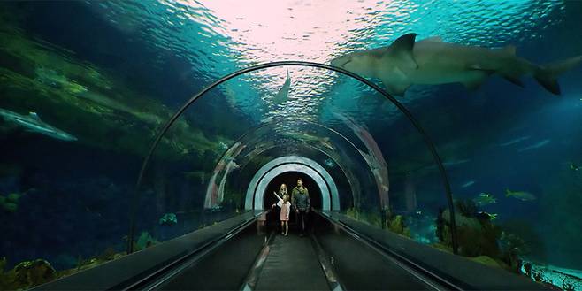 샌디에이고 대표 명소 씨월드 / 사진=캘리포니아 관광청