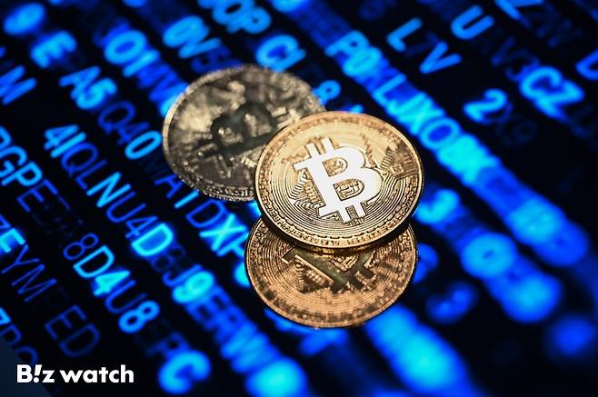 비트코인 주화/사진=이명근 기자 qwe123@