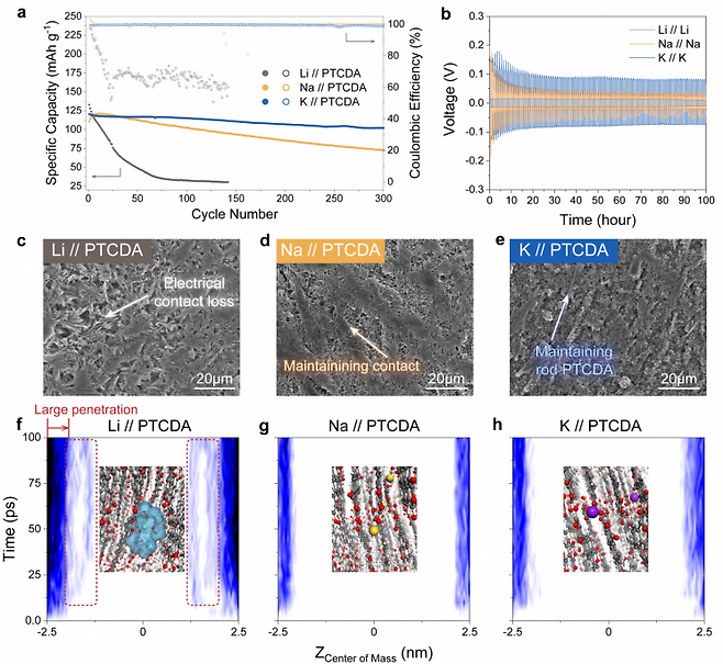 전해질 내 양이온 종류별 전극의 성능과 공삽입 차이. UNIST 제공