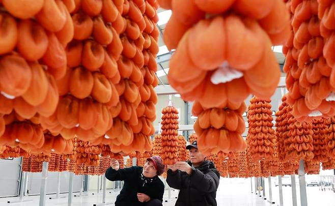 7일 경남 함양군 서하면 곶감경매장에서 ‘지리산 함양곶감’ 초매식이 진행되고 있다. (함양군 김용만 제공) 2023.12. 뉴스1