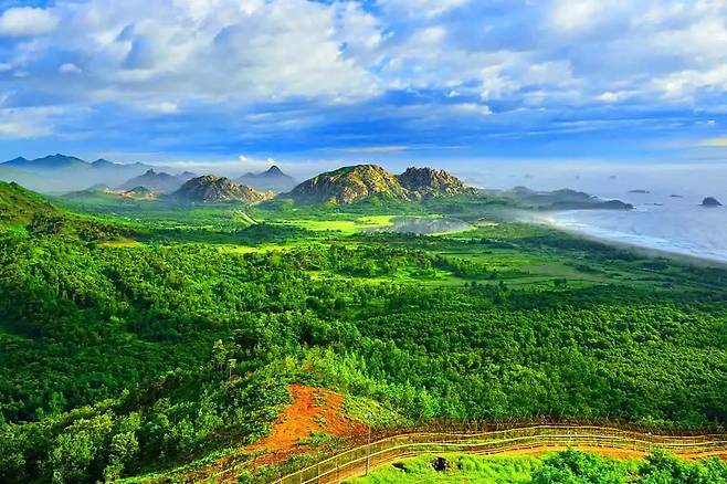 고성 DMZ 평화의 길