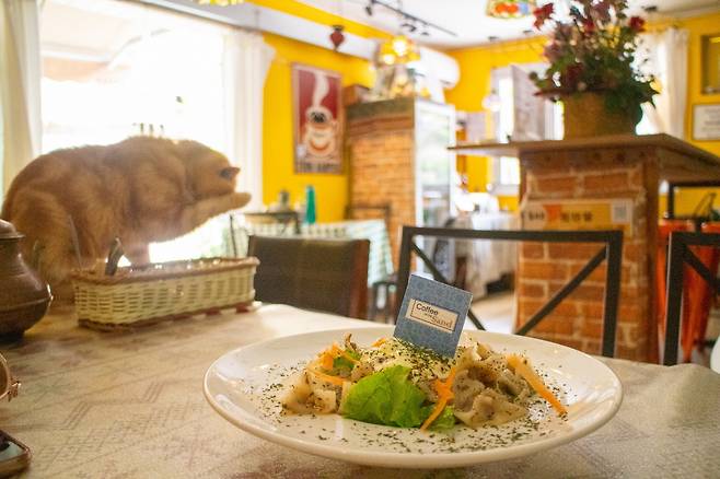 커피 온 더 샌드의 '터키쉬 만티(Turkish Manti)' 만두 위에 요거트 소스를 뿌린 맛이다