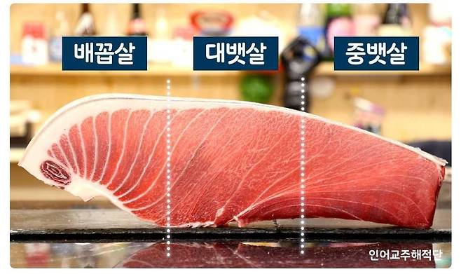 IMG_5565.jpeg 남자들이 환장하는 뱃살