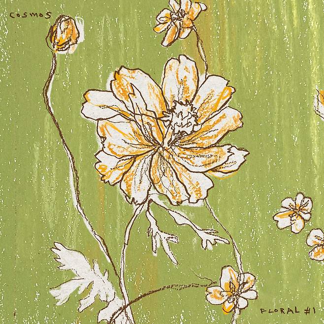 MPMG MUSIC (엠피엠지 뮤직)