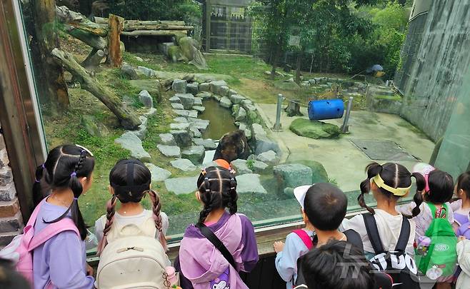 전북자치도 전주시는 전주동물원이 오는 3월부터 11월까지 '동물생태해설 프로그램'을 운영한다고 26일 밝혔다.자료사진 (전주시 제공. 재판매 및 DB금지)2025.2.26/뉴스1