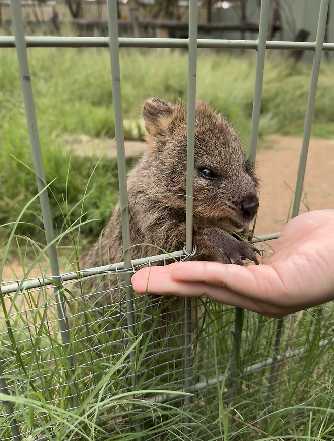 KakaoTalk_20231226_204024356_01.png [닉값여행] 시드니 6박8일 여행 1부 음식편 (스압주의) [닉값여행] 시드니 6박8일 여행 1부 음식편 (스압주의)
