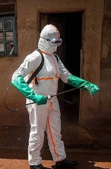 ▲ 콩고 박쥐 관련 의료진 사진 [X(구 트위터)]