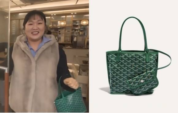 개그우먼 이수지(왼쪽)와 이수지가 든 고야드의 ‘앙주 백 미니’. [유튜브 채널 ‘핫이슈지’·고야드 홈페이지]