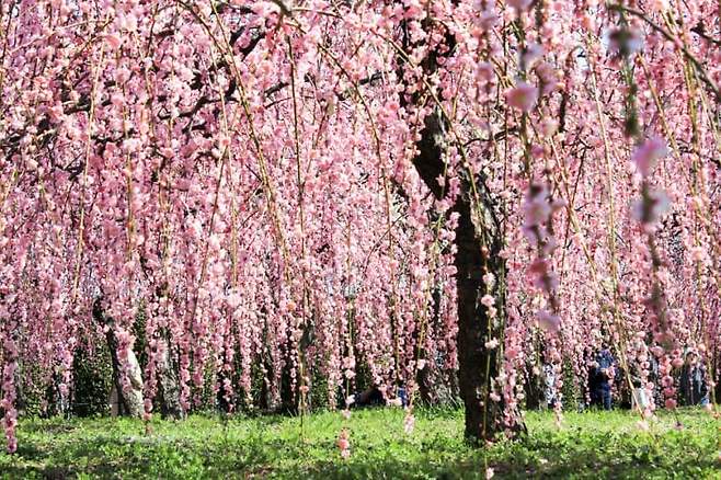 0490f719bd8168fe23ed81fb1cc1231d5e90aa69f22a5451dc54af