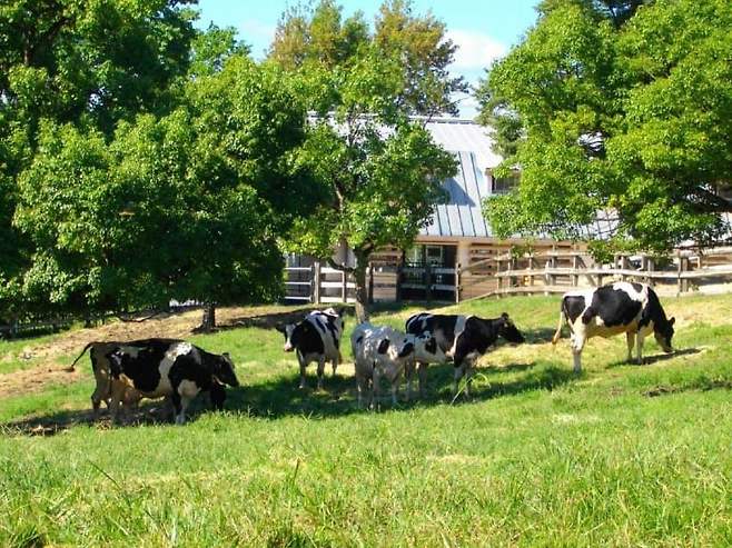 78ea8477b4846da33ae6d0e61582206f16fb6a0f7fea0ff47884973c94631c1f2801bb