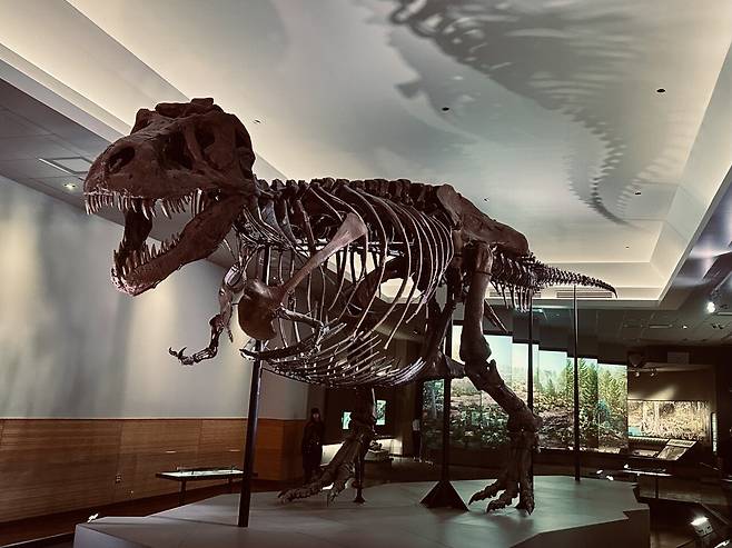 KakaoTalk_20250228_234847831.jpg [여행기]44일간 미국여행 28 / 시카고