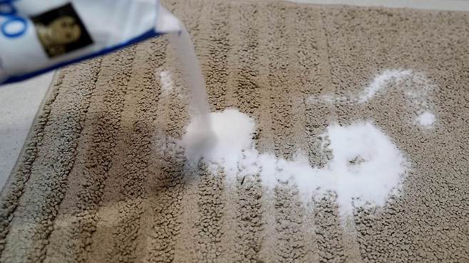 카펫 청소 세탁