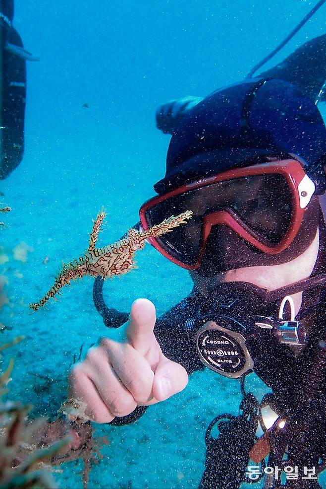 나뭇가지를 닮은 물고기인 고스트 파이프 피쉬.