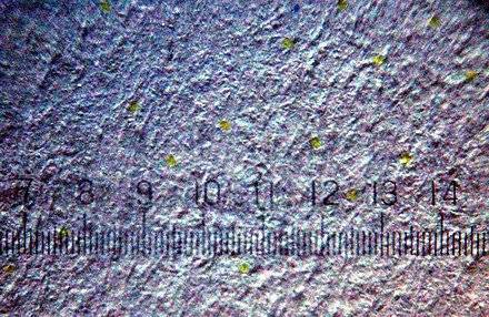 IMG_3149.jpeg 프린터로 인쇄한 짝퉁 카드를 체포할 수 있었던 이유