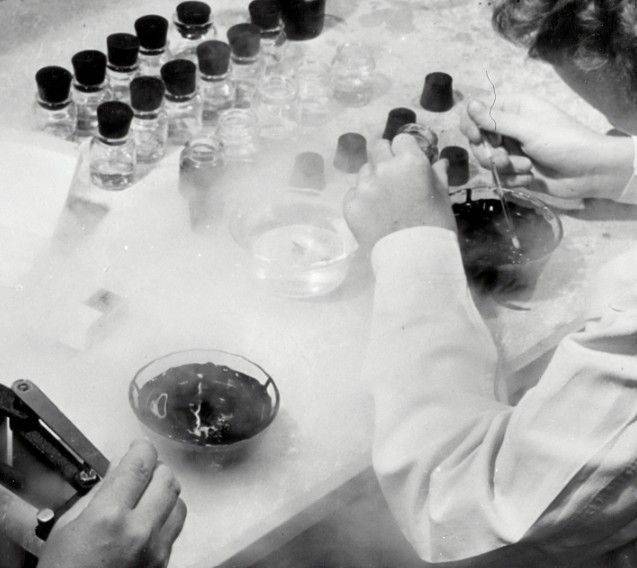 콜로설의 동물 복원 프로젝트는 실험 단계에 머물러있거나, 제한적으로만 상용화된 기술에 의존한다. 일례로 멸종 동물 유전자 지도 복원에는 유전자가위 기술인 캐스-9(CAS-9)을 사용한다. 콜로설 홈페이지